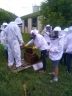 TP Apiculture